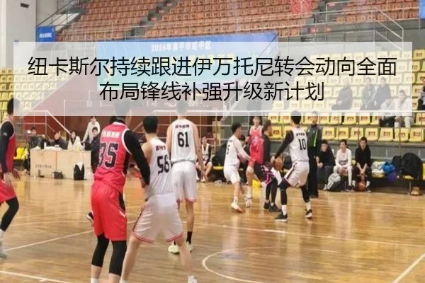 纽卡斯尔持续跟进伊万托尼转会动向全面布局锋线补强升级新计划