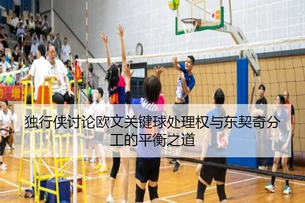 独行侠讨论欧文关键球处理权与东契奇分工的平衡之道
